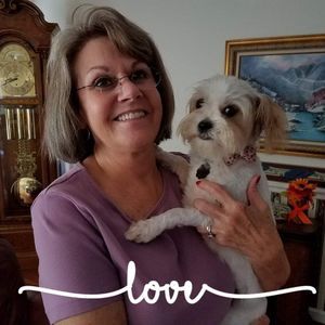 Meet your Posher, Jean